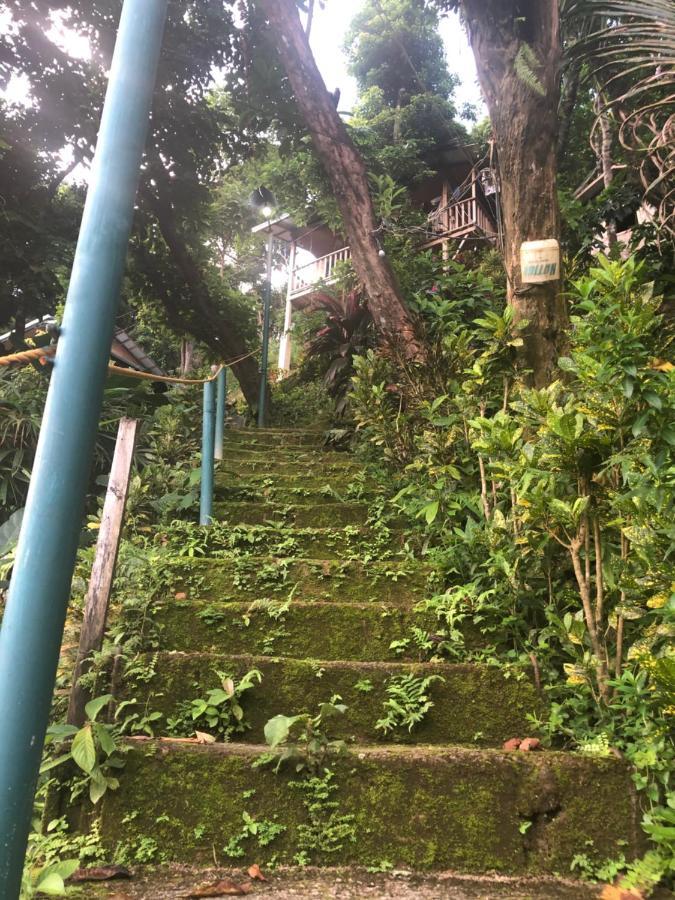 Balecabugaocottagesrental El Nido Eksteriør bilde